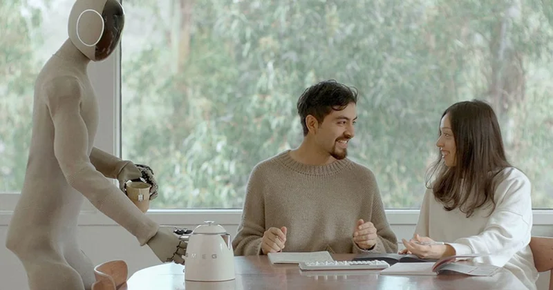 Үй шаруасына көмектесетін робот