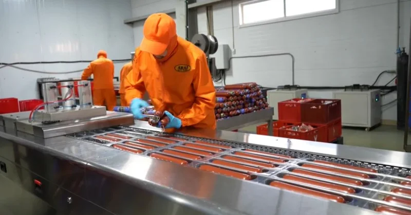 Абай облысында аграрлық саланы дамыту үшін 45 жоба іске асты