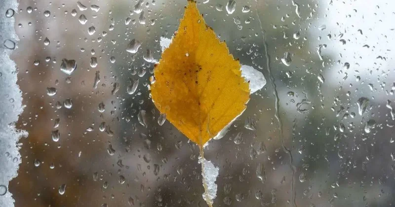 Прогноз погоды на 1 ноября: резкое похолодание ожидается на юге, шквальный ветер на севере и востоке страны