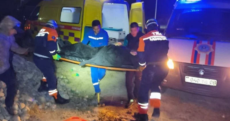 Женщина упала в глубокую яму в Жамбылской области (фото)