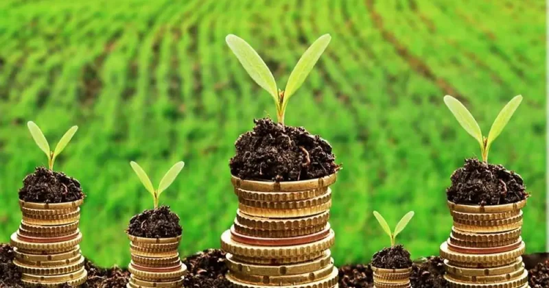 Более 340 млн тенге субсидий задолжало государство казахстанским аграриям