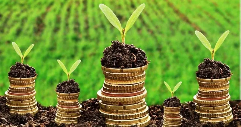 Мемлекет еліміздің аграрлық секторына 300 млрд теңгеден аса ақша қарыз