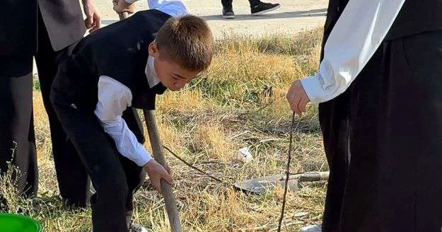 Превратить родину в цветущий сад