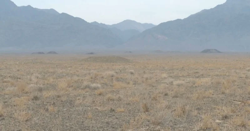 Жетісу облысында петроглифтер кешені табылды