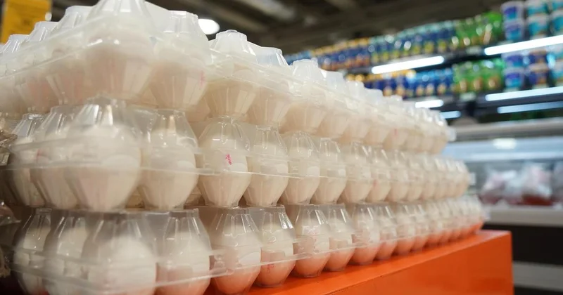 От гречки до яиц: десятки поставщиков завышали цены на социальные товары в Карагандинской области