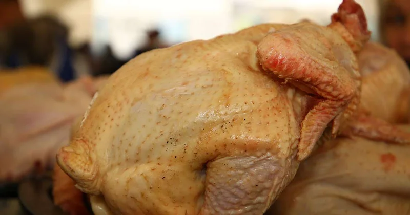 Тонну утиного мяса без маркировки не пропустили в Казахстан