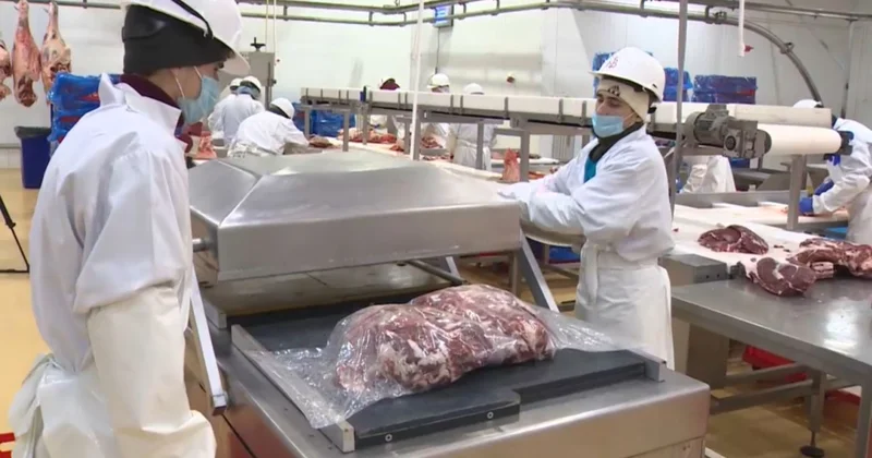 Сырт мемлекеттерге 80 мың тоннадан астам ет жөнелтілді