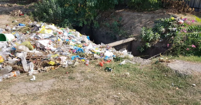 Большинство полигонов ТБО на юге не соответствуют санитарным требованиям