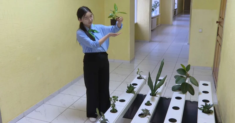 Ақмола облысында балаларға арналған экосабақтар өтіп жатыр