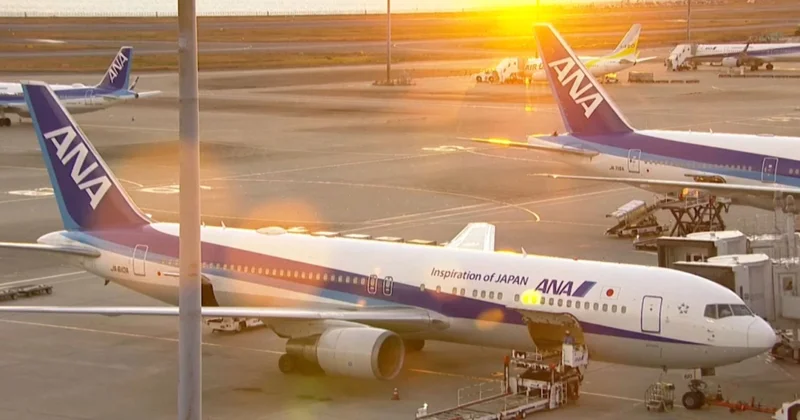 Airbus ұшақтары тексеріліп жатыр