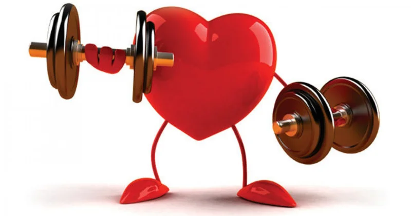 Жүрек қан тамыр ауруларының алдын алу: негізгі 5 қағида