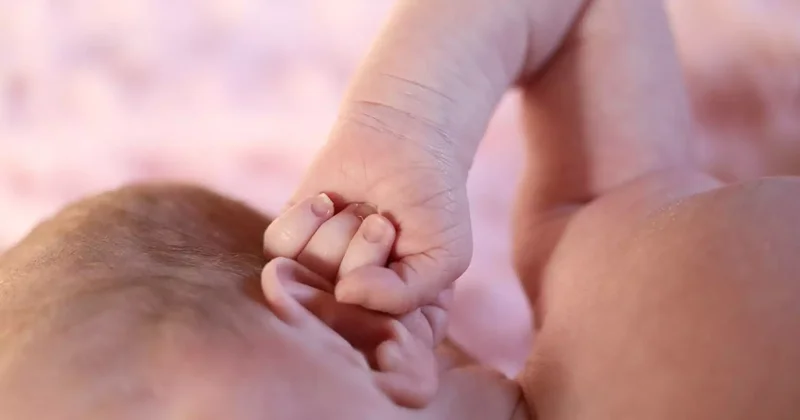 Жаңа туған сәбилерді Қазақстаннан әкетуге тырысқан шетелдіктер ұсталды