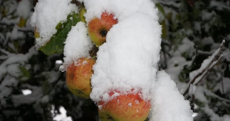 Туманная Астана и солнечный Алматы: синоптики рассказали о погоде