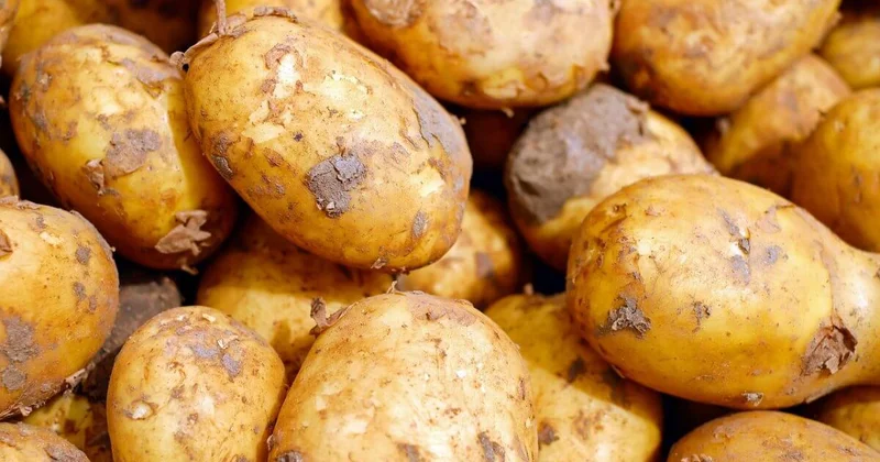 Яйца и картофель подорожали: поставщики завышали цены в Караганде