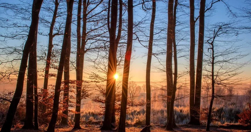 Диалог Зеленый импульс прошел в Алматы