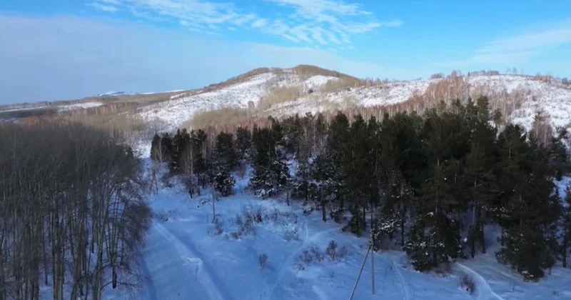 ШҚО да орманды заңсыз кесудің алдын алу шаралары күшейтілді