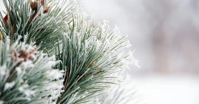 Синоптики рассказали о погоде в Казахстане в первый день зимы