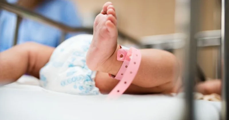 Алматыда шетелдіктер ұсталды: олар суррогат анадан туған нәрестелерді алып кетпек болған