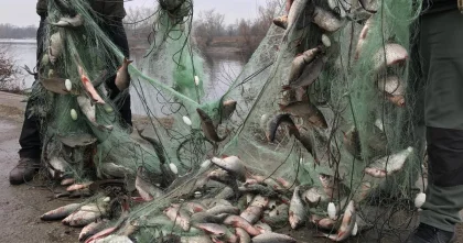 Более 4 тысяч казахстанцев привлечены к ответственности за браконьерство