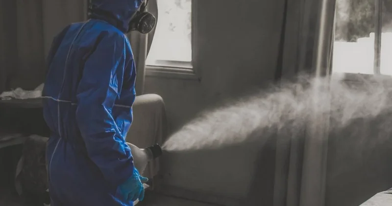 Инфекционистер алаңдаулы: құс тұмауы COVID 19 дан да қауіпті болуы мүмкін