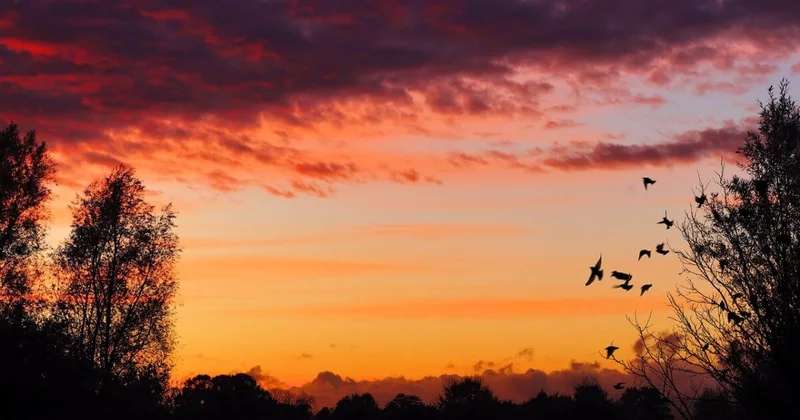 Синоптики обещают теплую погоду в Шымкенте 2 декабря