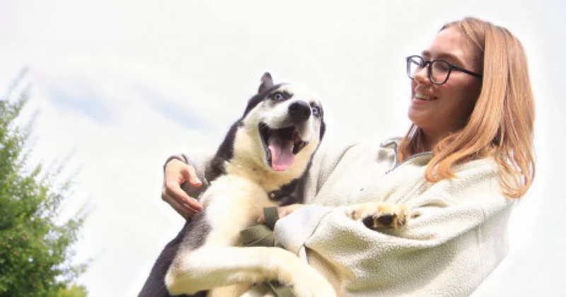 Елімізде зооволонтерлік қозғалыс жүйелі түрде дамып келеді