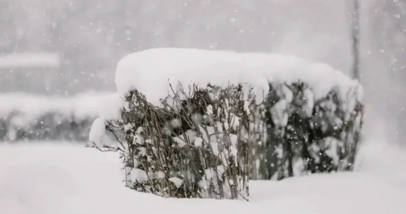 Тұман, бұрқасын, көктайғақ: 2 қаңтарда ауа райы қандай болады?