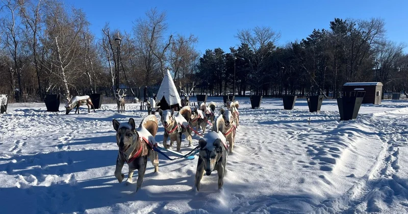 Қысқы ойын сауық: Қарағандыдағы демалыс орындарына шолу