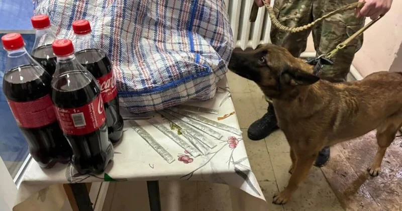 Наркотики нашли в ремне сумки при досмотре передачи в колонии Кызылорды