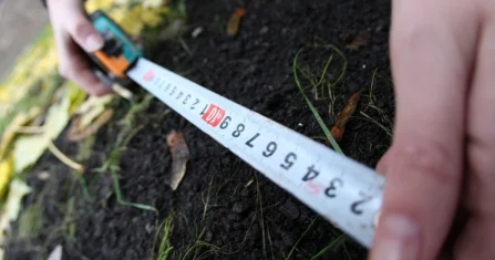 Незаконно переданный под бизнес участок вернули государству в Шымкенте