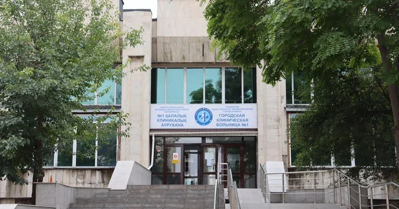 Алматыда аллергия мен тыныс алу ауруларына маманданған орталықтар құрылады