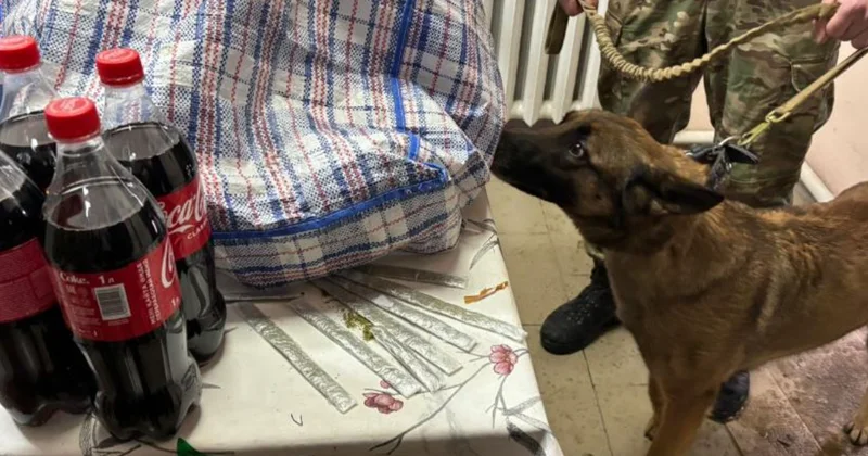 Қызылордада сотталған азаматқа сөмке бауына жасырып есірткі өткізбек болды