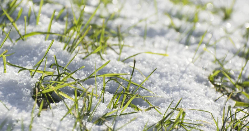 +15 градус: Алматы мен Астанада күн жылиды