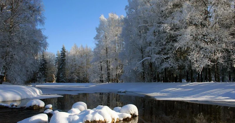 Тепло до +17 градусов: нетипичная для февраля погода ожидается в регионах Казахстана