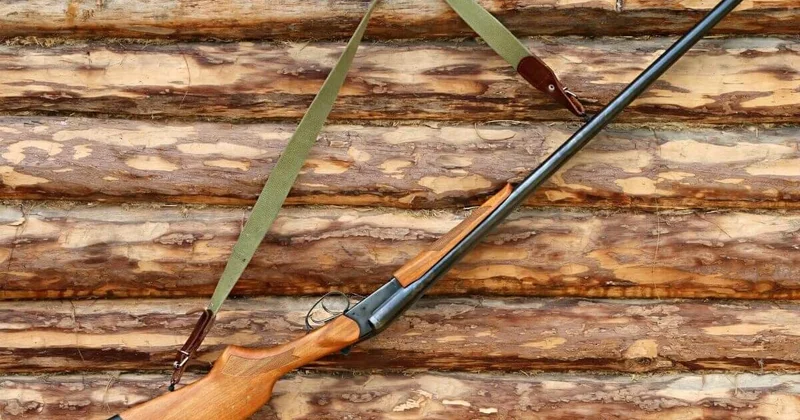 Редкого волка убили охотники в ВКО