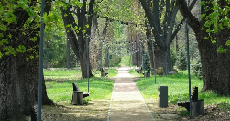 Для всех восьми районов Алматы разработают дендрологический план