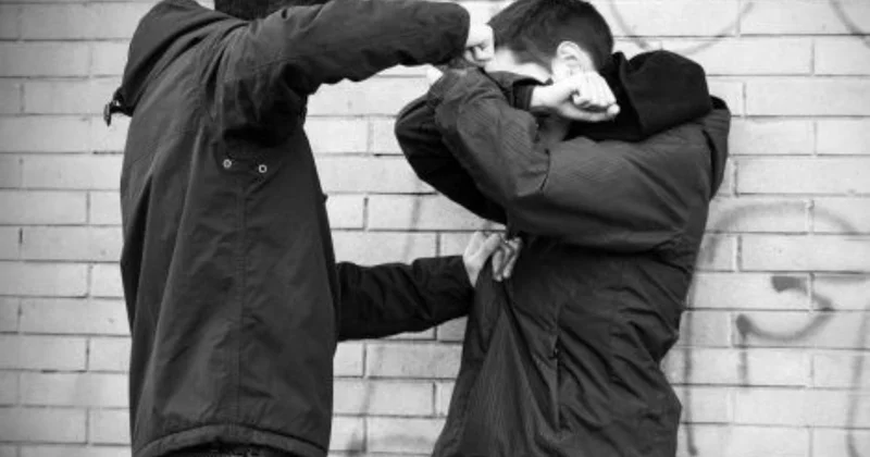 Жасөспірімдер арасындағы қылмыс бойынша көш бастапт тұрған аймақтар аталды