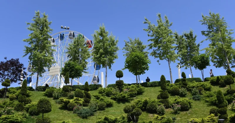 Алматыда 2030 жылға дейінгі дендрологиялық жоспар әзірленуде