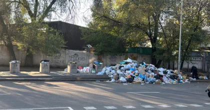 Штрафы за мусор новые полномочия появились у акиматов