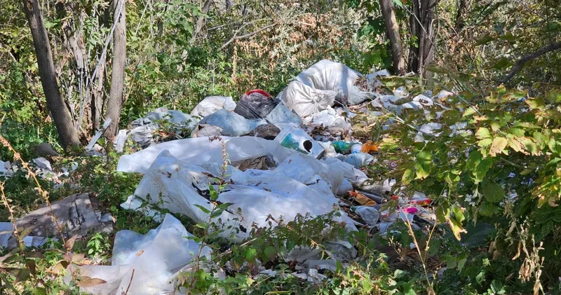 Әкімдіктерге қоғамдық орындарды ластағаны үшін айыппұл салу құқығы берілді