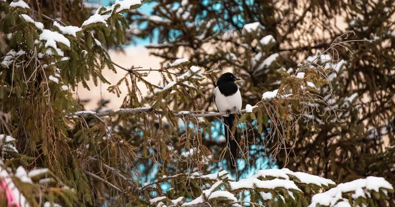 Циклон идет в Казахстан: какие области под ударом