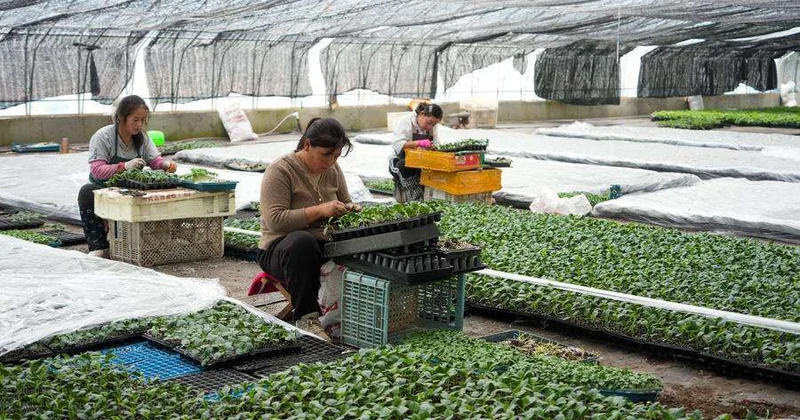 Товарооборот между Китаем и ЦА превысил 100 млрд долларов