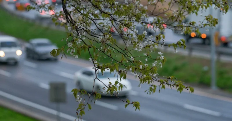 До +27 градусов: в Алматы установится солнечная погода