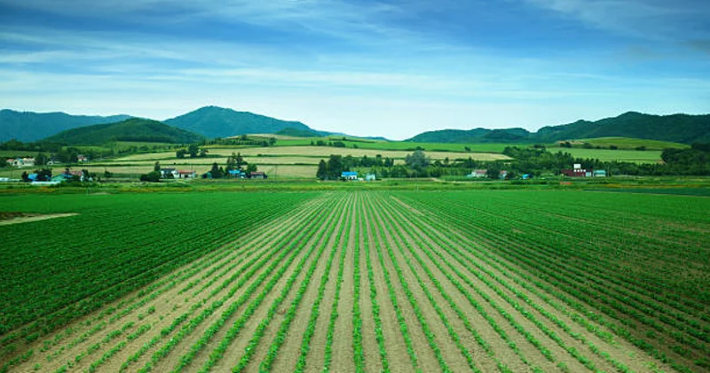Қазақстан ауыл шаруашылығы алқабы бойынша әлемнің топ 6 елі қатарына енді