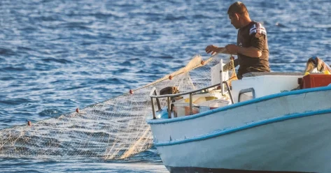 О снижении запасов промысловых рыб и масштабном браконьерстве заявил сенатор