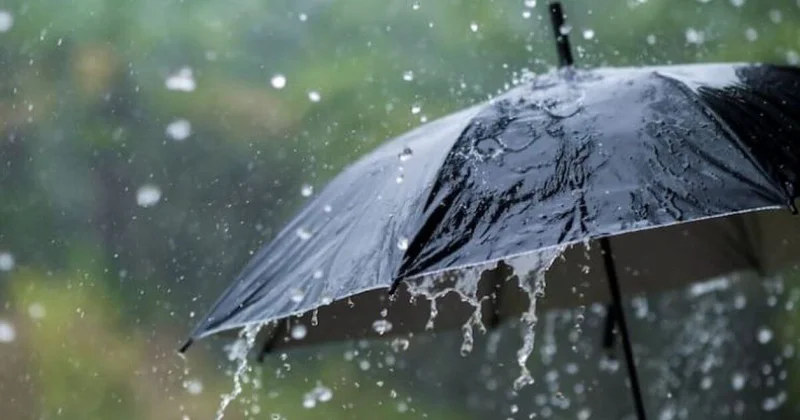 После 30 градусной жары Шымкент накроют дожди и грозы