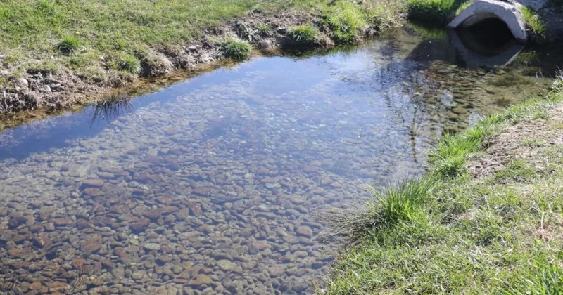 Жители пяти областей и города Шымкента поддержали республиканскую экоакцию Мөлдір бұлақ