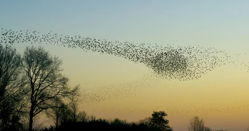 Алдағы күндері Астана мен Алматыда күн суытады ауа райы болжамы