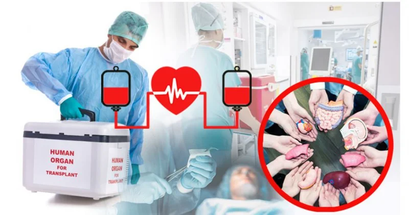 Донорлықтың беймәлім даңғылы