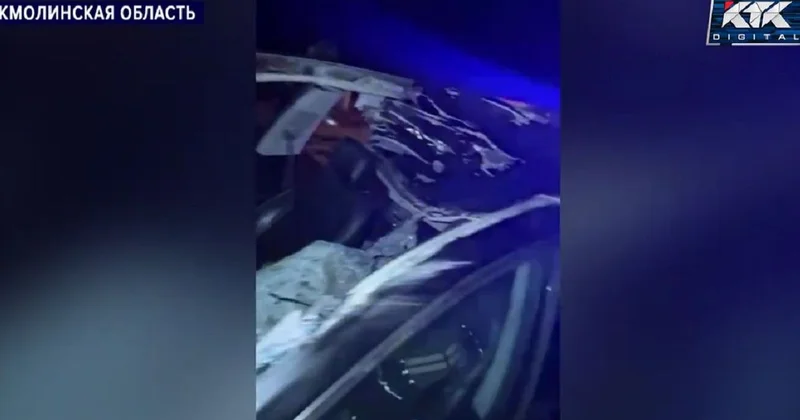 Автомобиль врезался в лошадь в Акмолинской области: три человека получил серьезные травмы